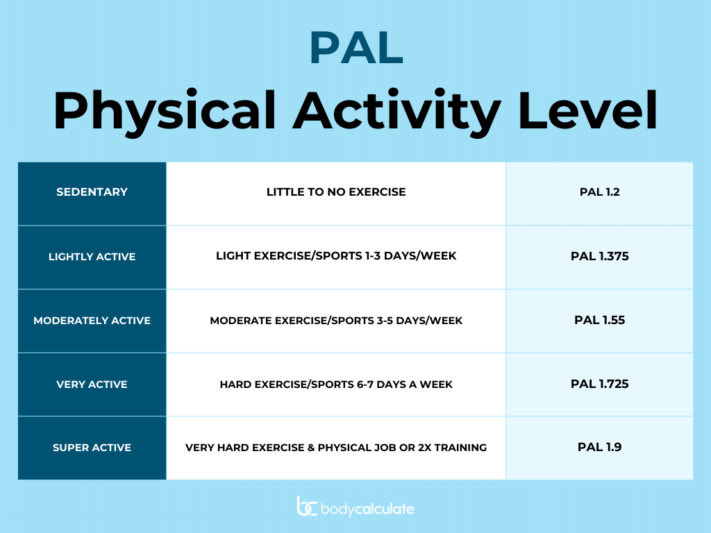 Physical Activity Level (PAL) – Body Calculate